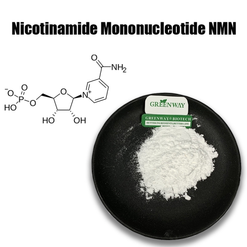 β-Nicotinamide Mononucleotide ，NMN