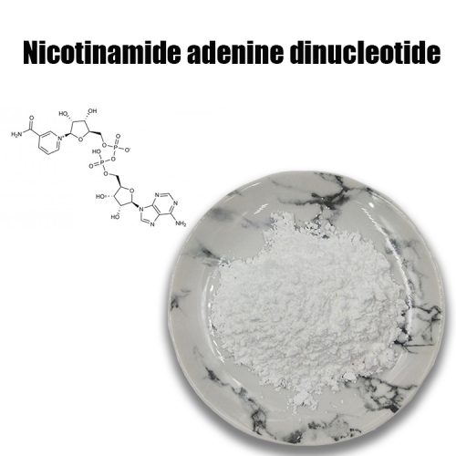 Nicotinamide adenine dinucleotide，NAD+