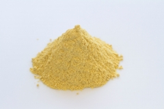 Natural Mango Fruit Extract Dried Powder