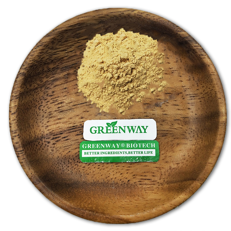 Wholesale Lion's Mane Powder | Bulk Powder Lion's Mane Powder Supplier | Greenway Biotech